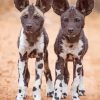 African Hunting Dogs Puppies Diamond Painting