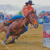 Barrel Racing Diamond Painting