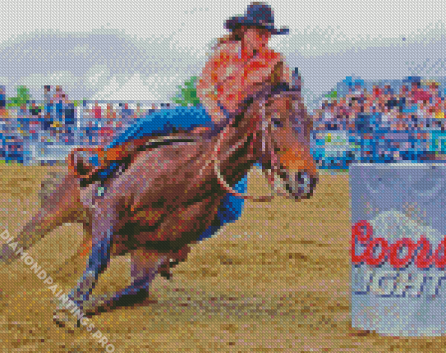 Barrel Racing Diamond Painting