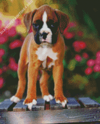 Boxer Puppy Diamond Painting