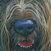 Briard Face Art Diamond Painting