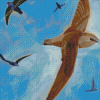 Common Swifts Birds Diamond Painting