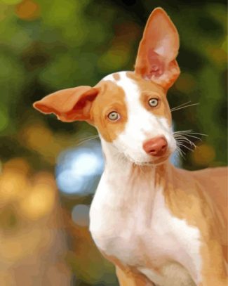 Cute Podenco Dog Diamond Painting