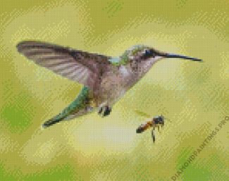 Hummingbird And Bee Diamond Painting