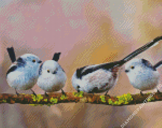 Long Tailed Tits On A Branch Diamond Painting