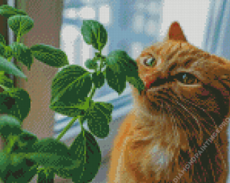 Plant Cat Diamond Painting