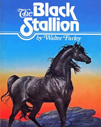 The Black Stallion Poster Diamond Painting