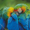 Two Parrots In Jungle Green With Blue Diamond Painting
