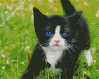 Aesthetic Cute Tuxedo Cat Diamond Painting