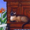 Aesthetic Cat And Piano Art Diamond Painting