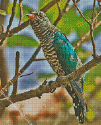 Asian Emerald Cuckoo Bird Diamond Painting