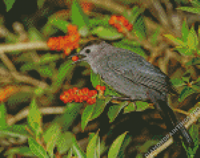 Catbird Eating Diamond Painting