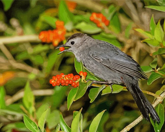 Catbird Eating Diamond Painting