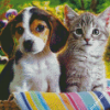 Cute Puppy And Kitten Diamond Painting