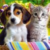 Cute Puppy And Kitten Diamond Painting