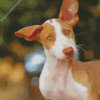 Cute Podenco Dog Diamond Painting