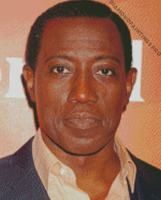 Wesley Snipes Face Diamond Painting