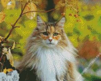 Norwegian Forest Cat Animal Diamond Painting