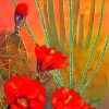 Red Desert Flowers Diamond Painting