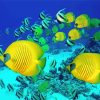 School Of Butterfly Fish Swimming Diamond Painting
