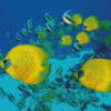 School Of Butterfly Fish Swimming Diamond Painting