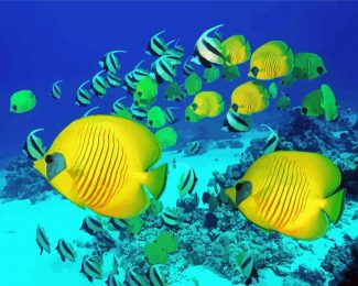 School Of Butterfly Fish Swimming Diamond Painting