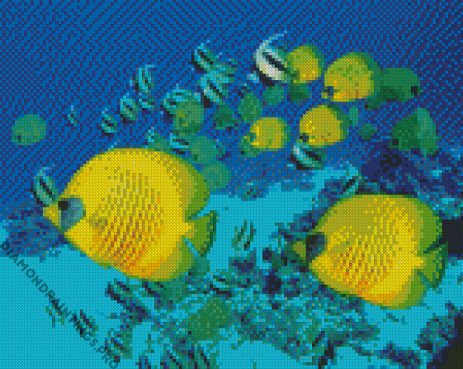 School Of Butterfly Fish Swimming Diamond Painting