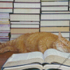 Sleepy Cat And Books Diamond Painting