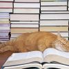 Sleepy Cat And Books Diamond Painting