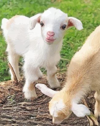 Baby Goat Animal Diamond Painting