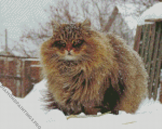 Fluffy Siberian Cat Diamond Painting