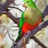 King Parrot On Branch Diamond Painting