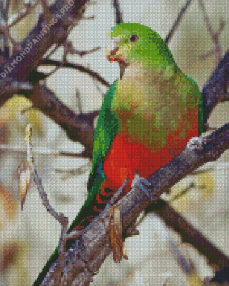 King Parrot On Branch Diamond Painting