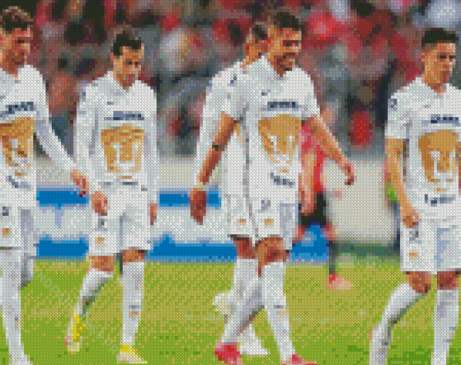 Pumas Unam Football Club Diamond Painting