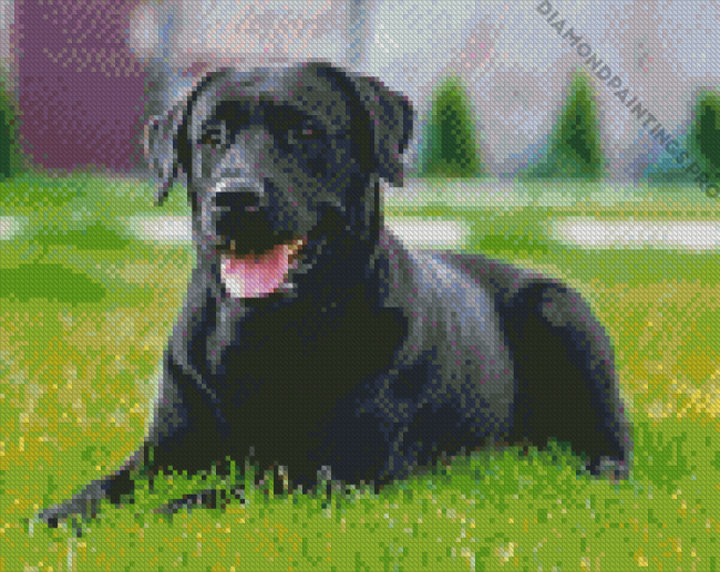 Aesthetic Black Lab Art Diamond Painting