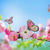 Beautiful Butterflies And Blooms Diamond Painting