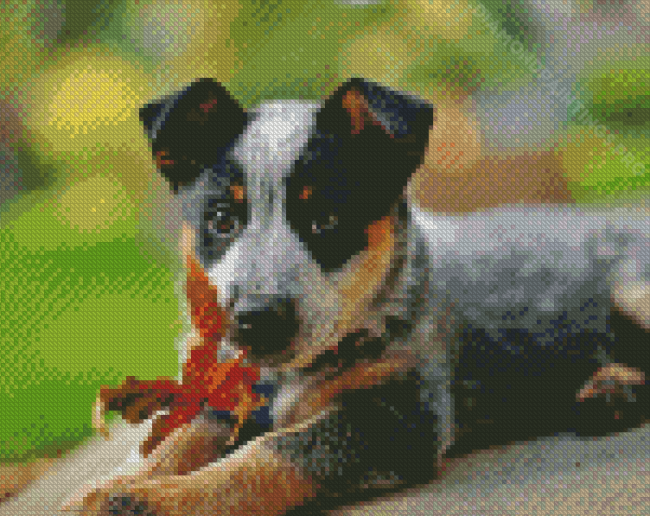 Cute Blue Cattle Dog Diamond Painting