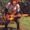 Monkey Playing Guitar Diamond Painting