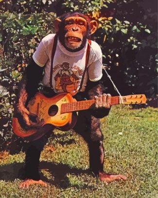 Monkey Playing Guitar Diamond Painting