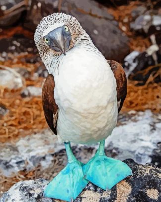 Aesthetic Blue Footed Boob Diamond Painting