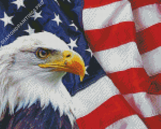 American Eagle With Flag Diamond Painting