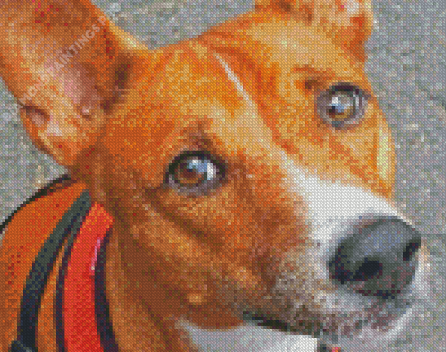 Basenji Dog Diamond Painting