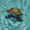 Butterfly With Water Art Diamond Painting