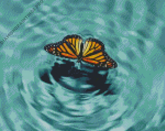 Butterfly With Water Art Diamond Painting
