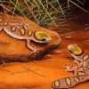 Desert Gecko Reptiles Diamond Painting