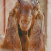 Goat With Long Ears Diamond Painting