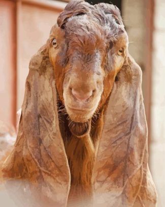 Goat With Long Ears Diamond Painting