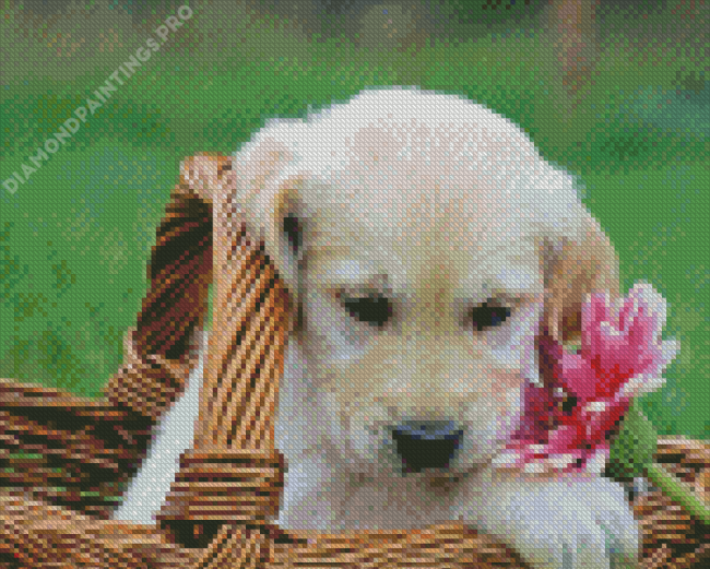 Golden Puppy In Basket Diamond Painting