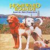 Homeward Bound Disney Poster Diamond Painting