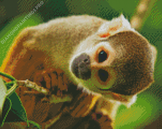 Jungle Monkey Animal Diamond Painting